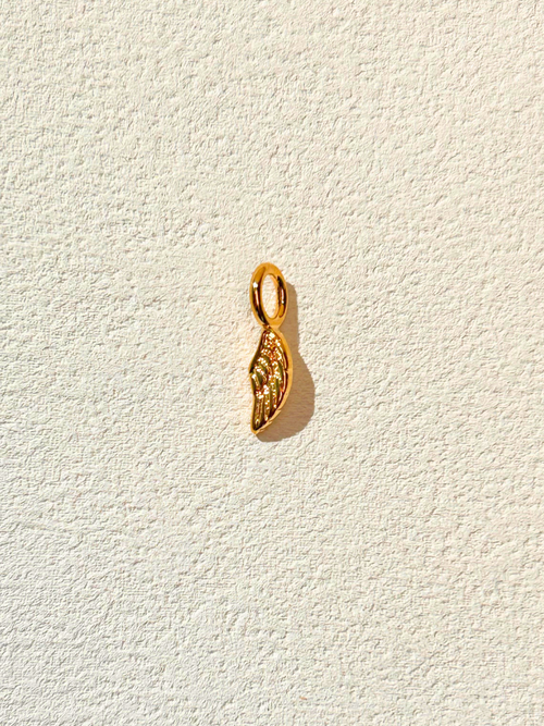 Angel Wing Charm