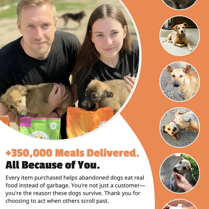 Little Feet Dog Paw Print Necklace