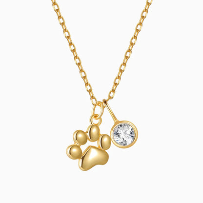 Paw Necklace with Charm